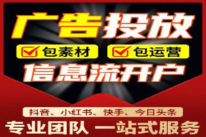 SEO与SEM服务结合的实战案例